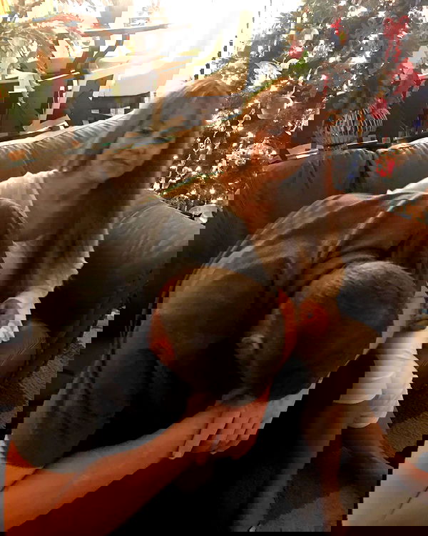 dracuina image ~ Altpins