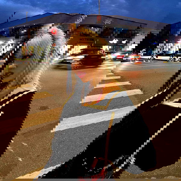 dracuina image ~ Altpins