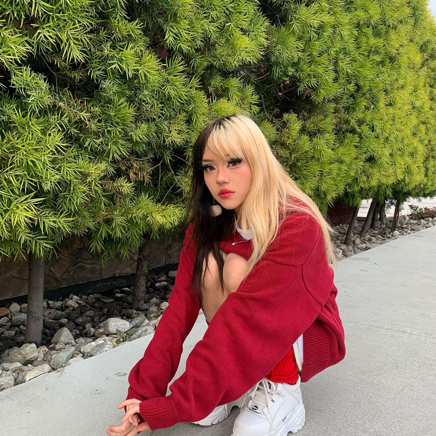 dracuina instagram image archive image