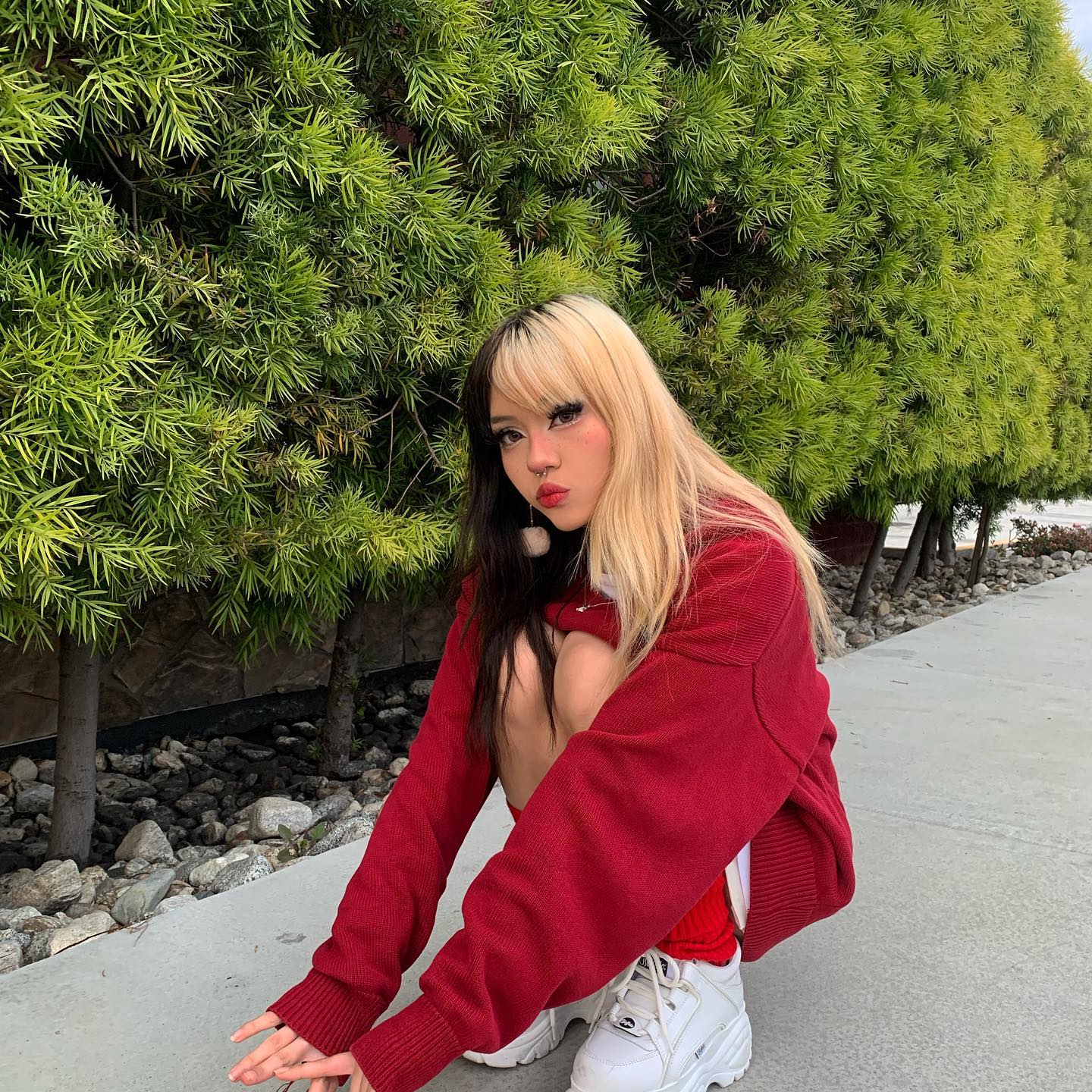 dracuina instagram image archive image