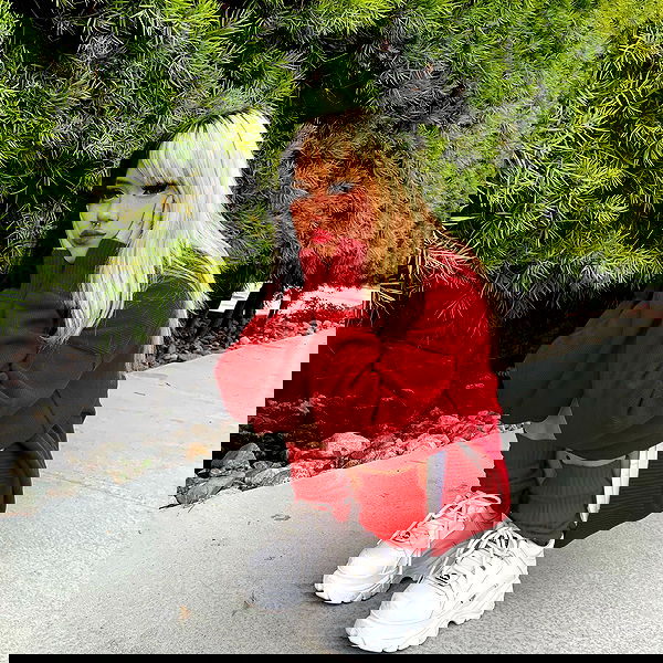 dracuina image ~ Altpins