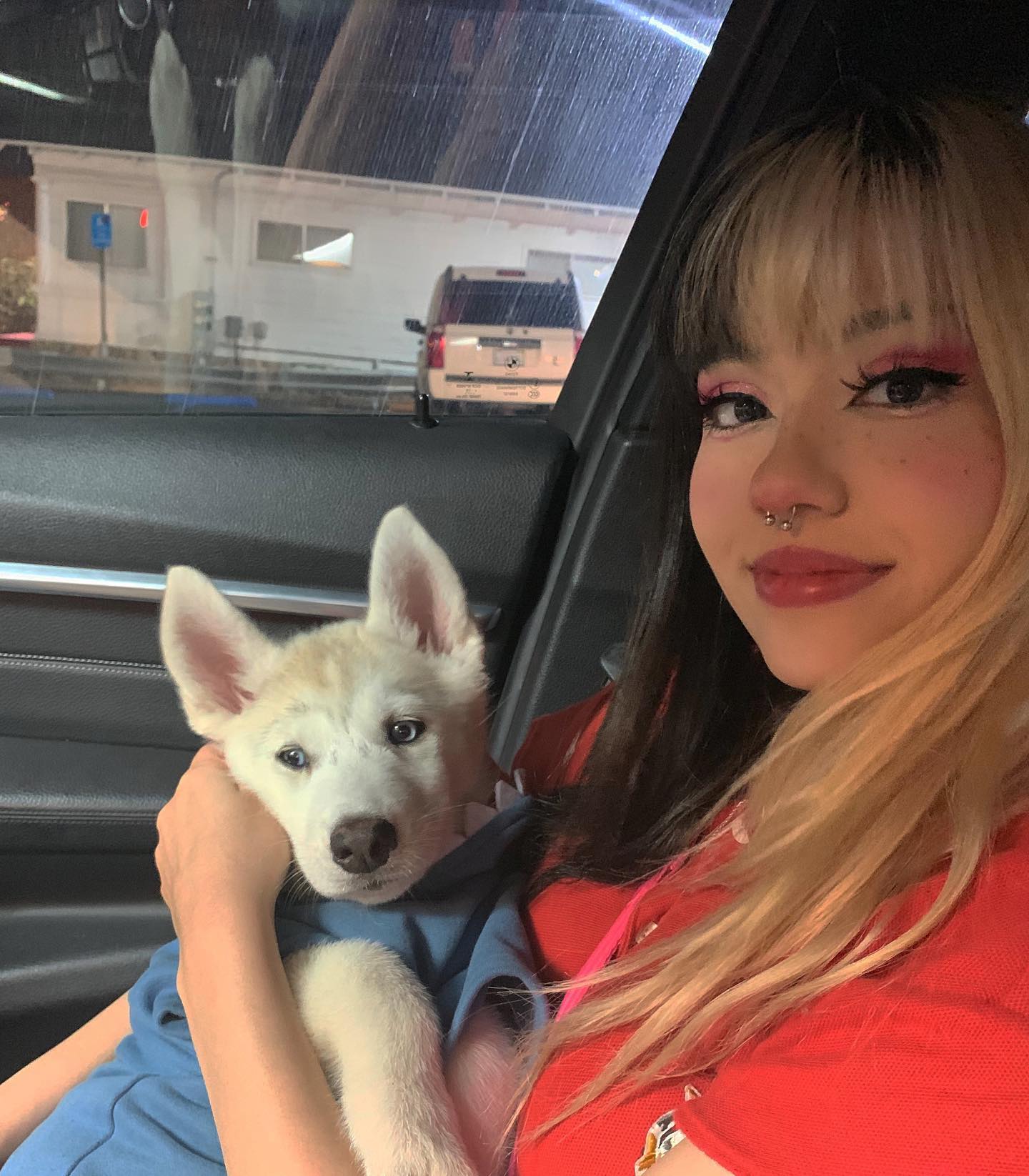 dracuina instagram image archive image