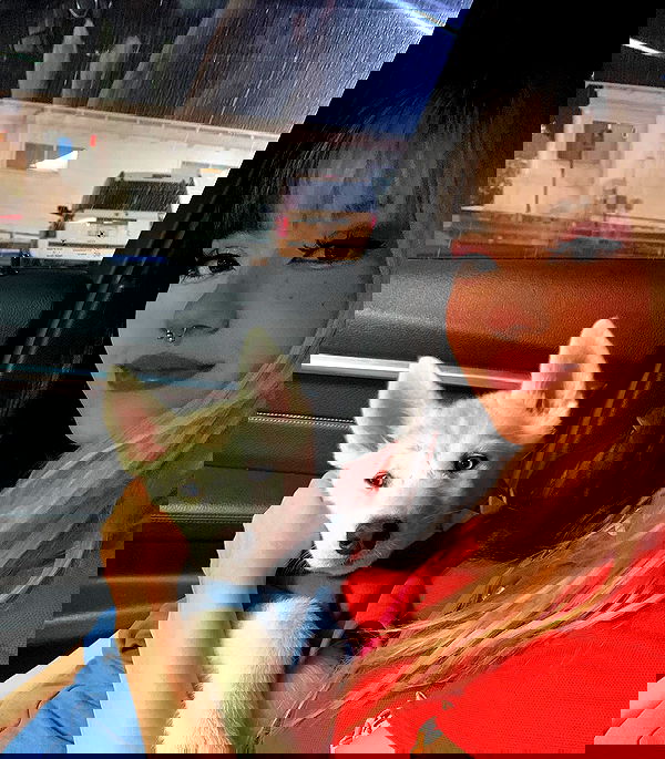 dracuina image ~ Altpins