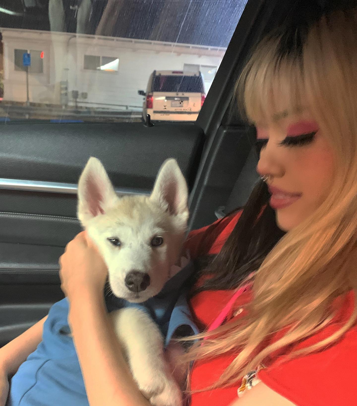 dracuina instagram image archive image