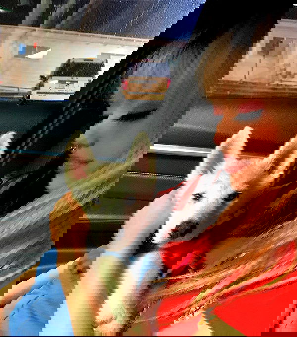 dracuina image ~ Altpins