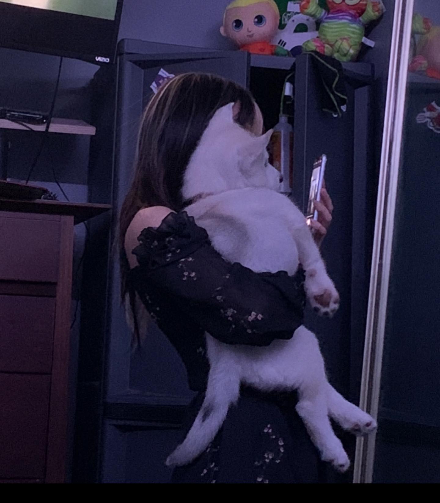 dracuina instagram image archive image