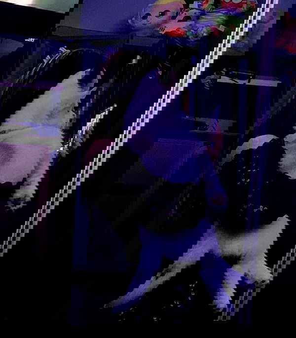 dracuina image ~ Altpins