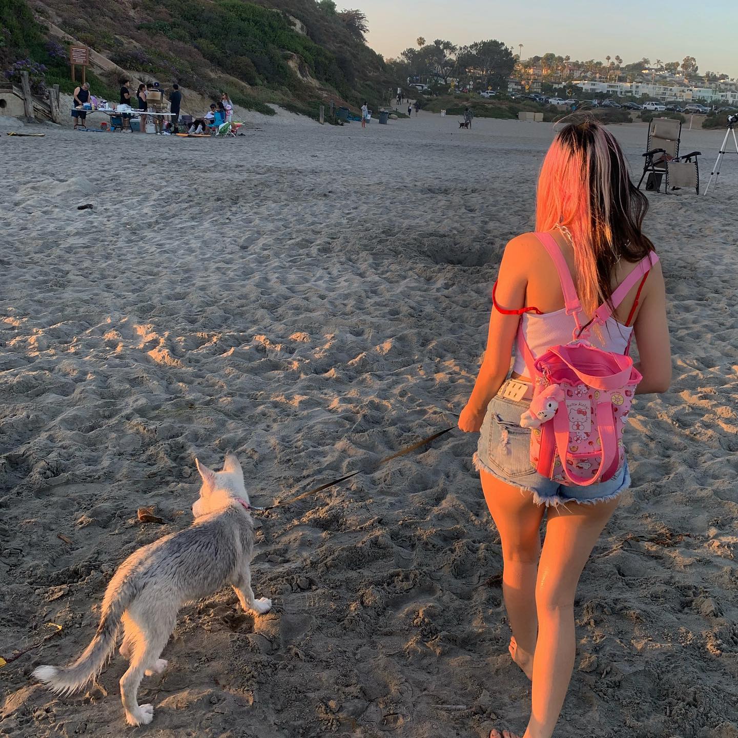 dracuina instagram image archive image