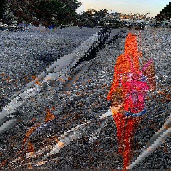 dracuina image ~ Altpins