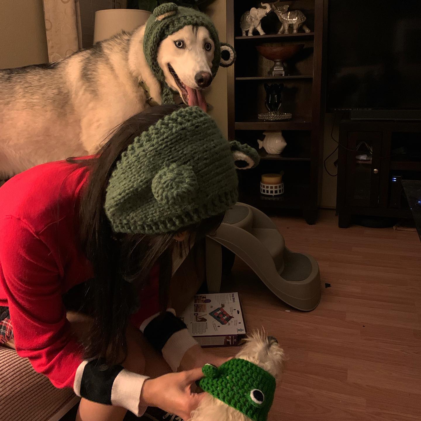 dracuina instagram image archive image