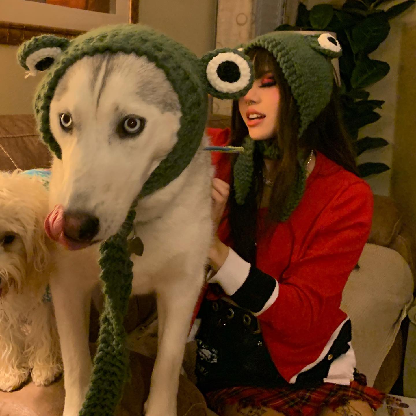 dracuina instagram image archive image