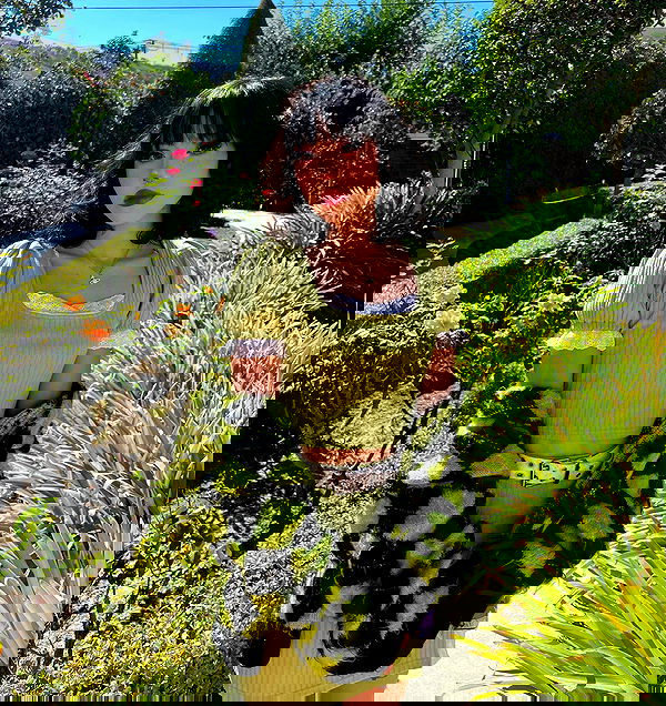 dracuina image ~ Altpins