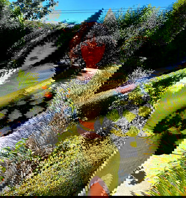 dracuina image ~ Altpins