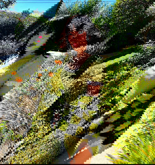 dracuina image ~ Altpins