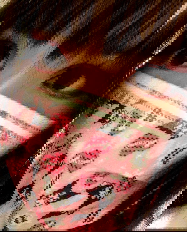 dracuina image ~ Altpins