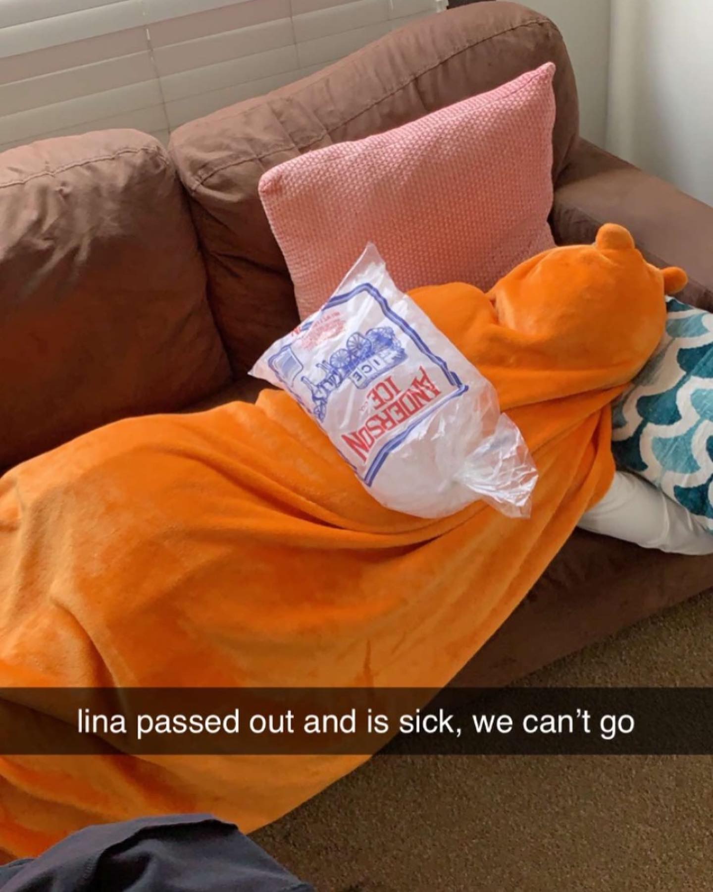 dracuina instagram image archive image