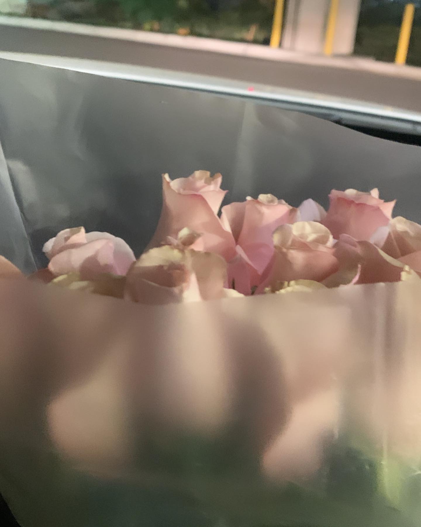 dracuina instagram image archive image