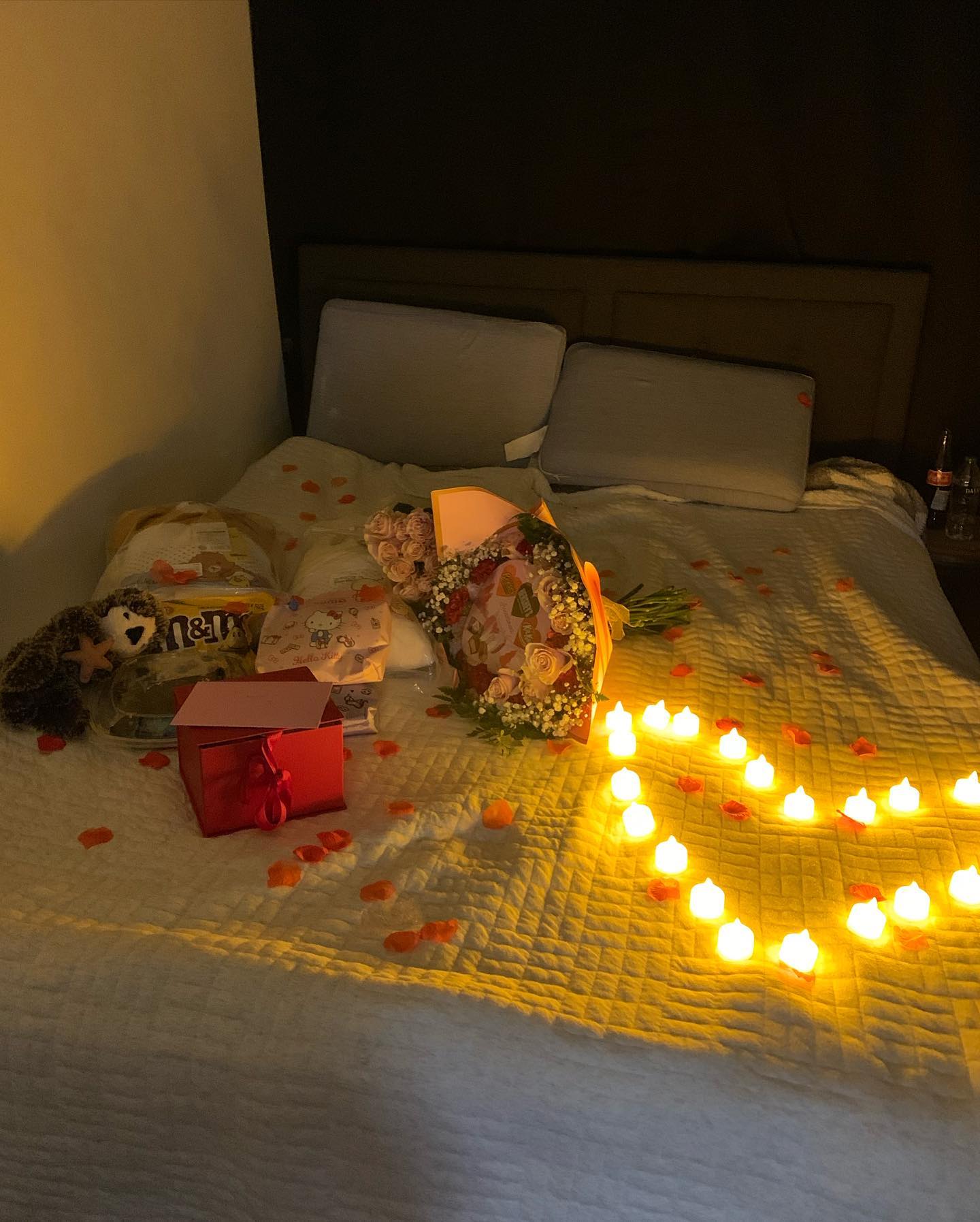 dracuina instagram image archive image