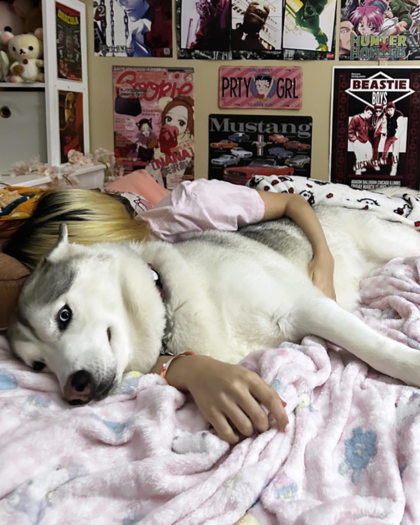 dracuina instagram image archive image