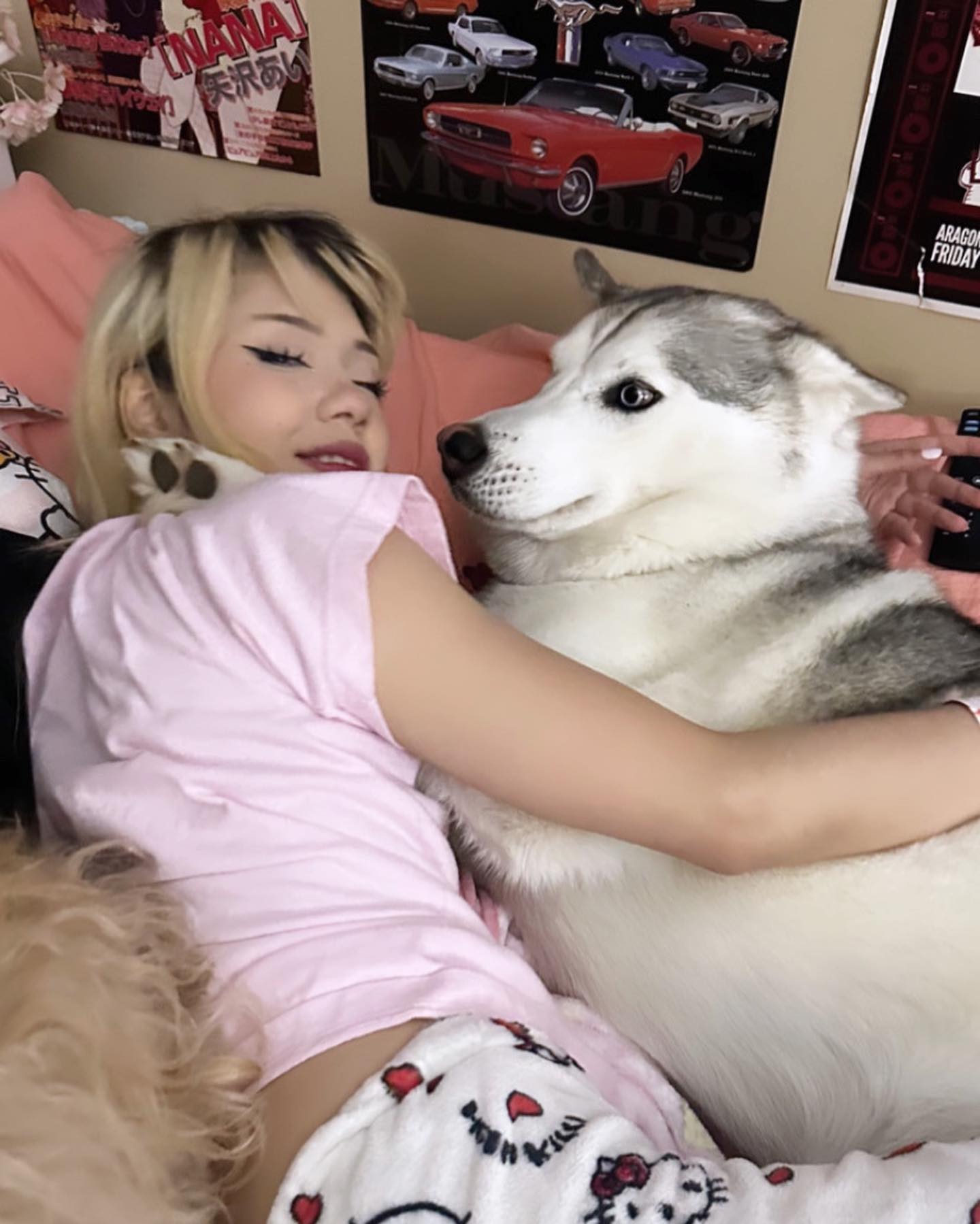 dracuina instagram image archive image