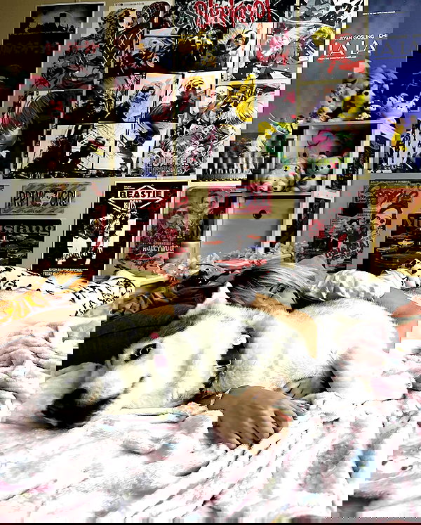 dracuina image ~ Altpins