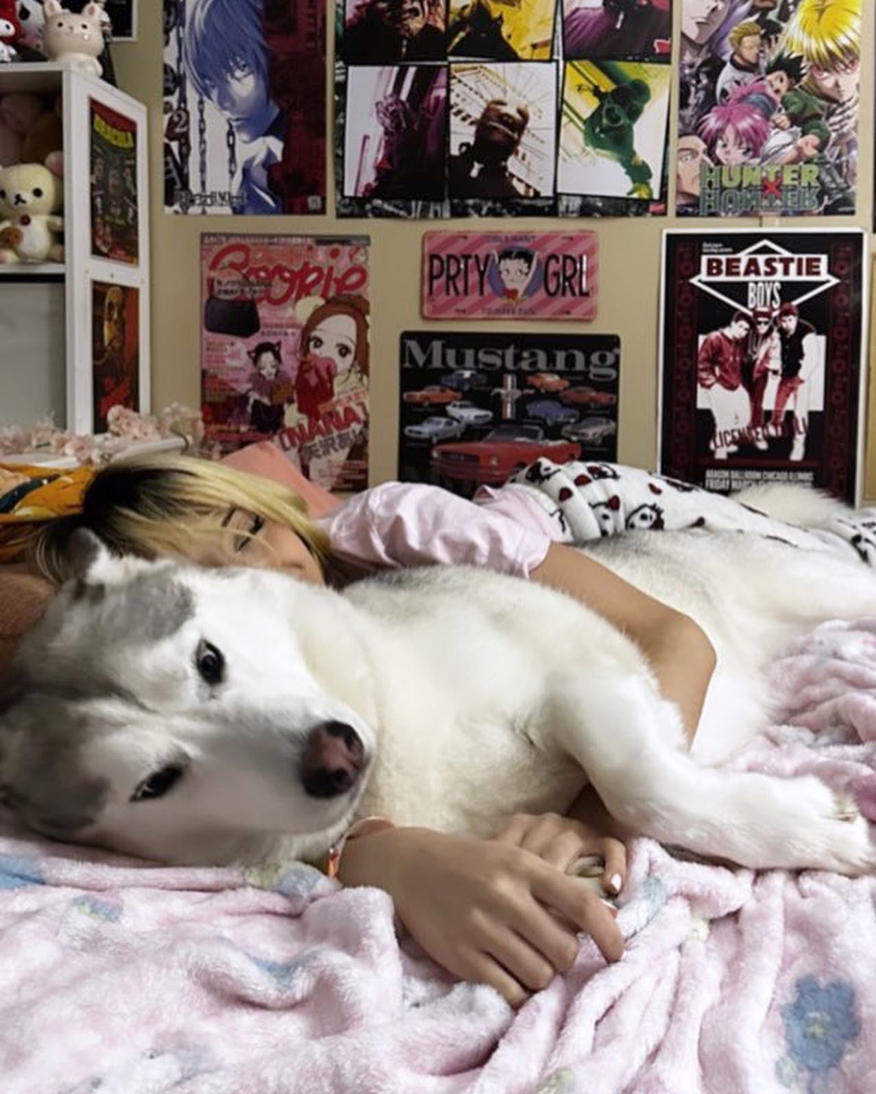 dracuina instagram image archive image