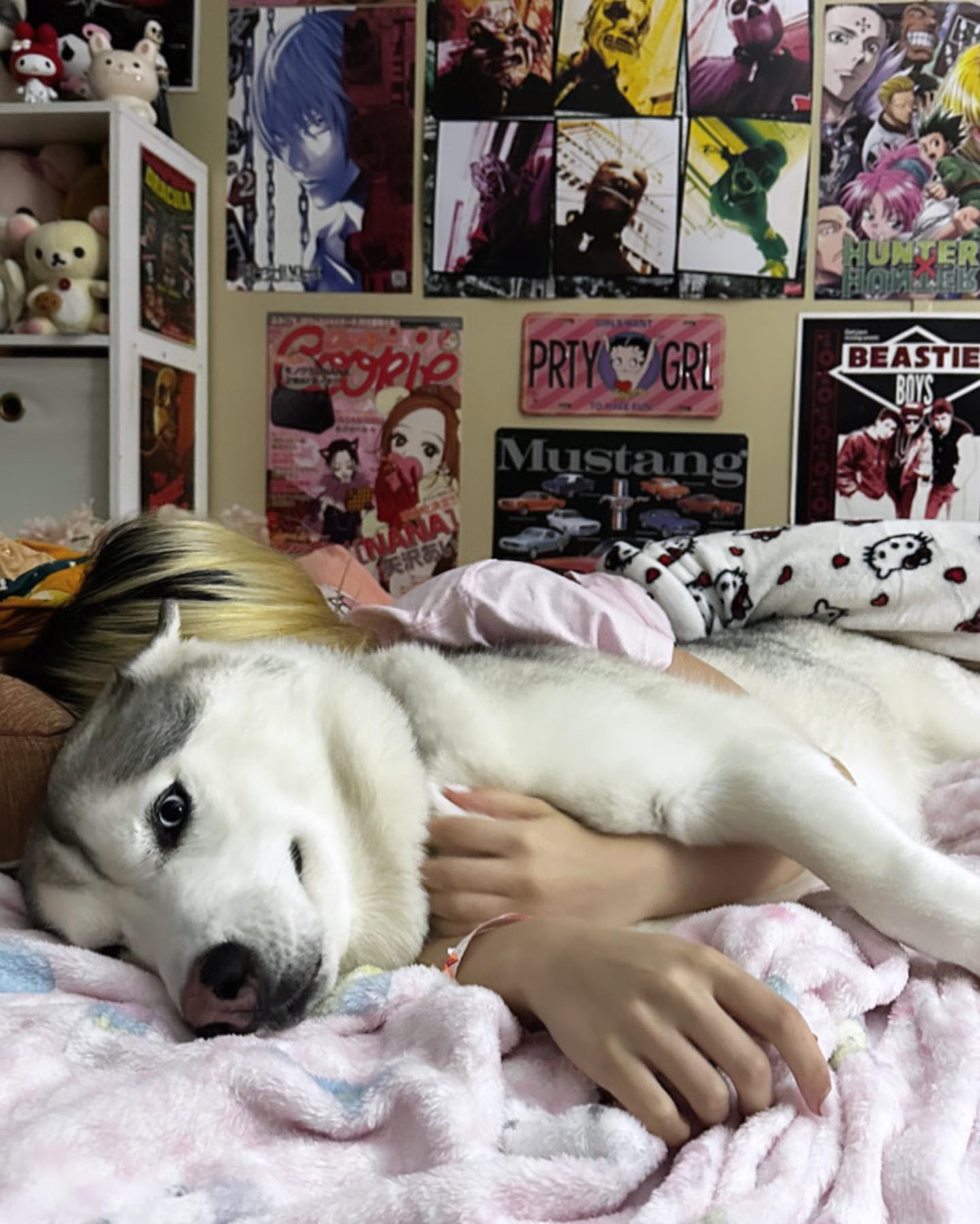 dracuina instagram image archive image