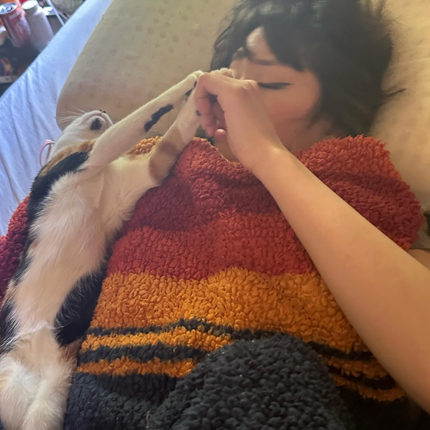 dracuina instagram image archive image