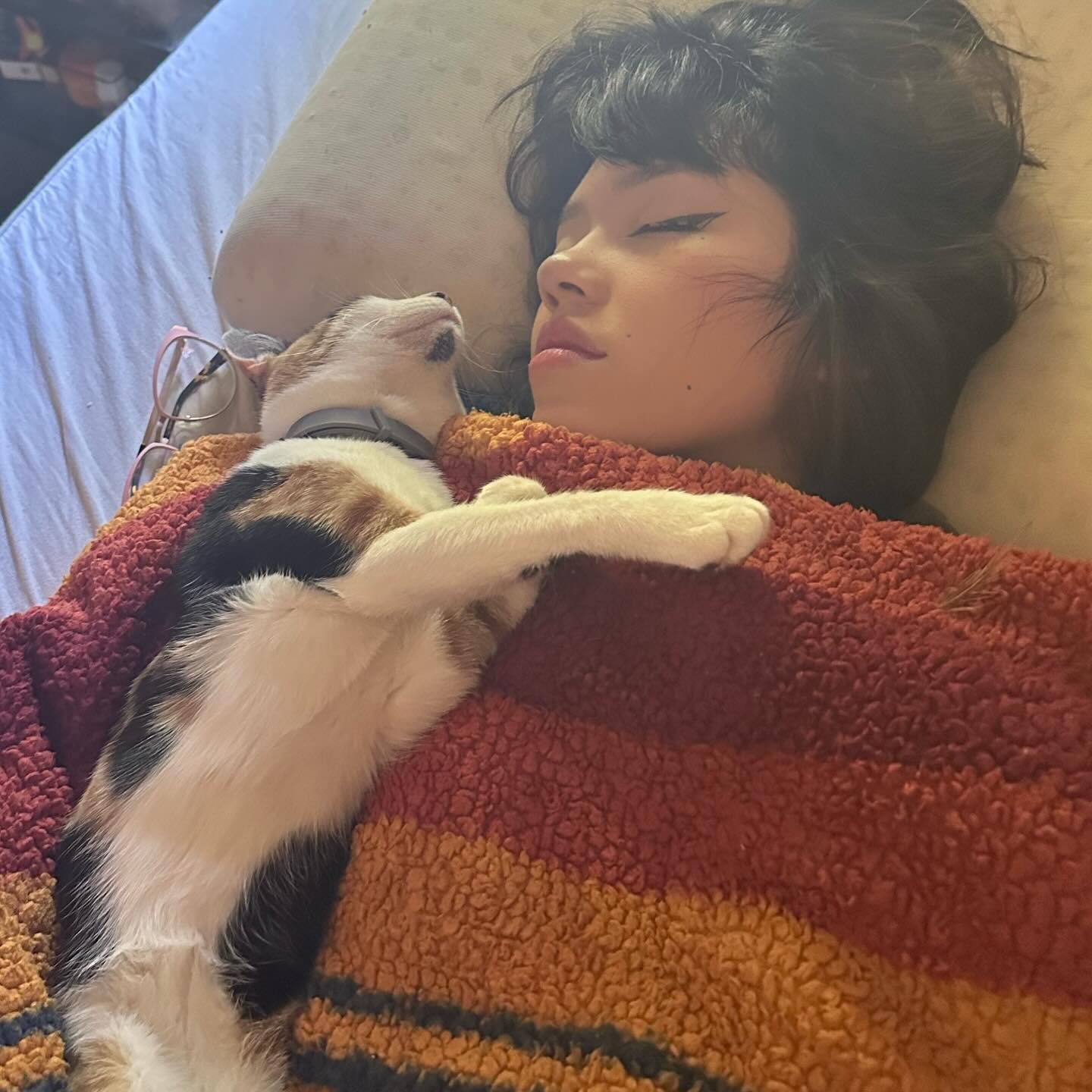 dracuina instagram image archive image