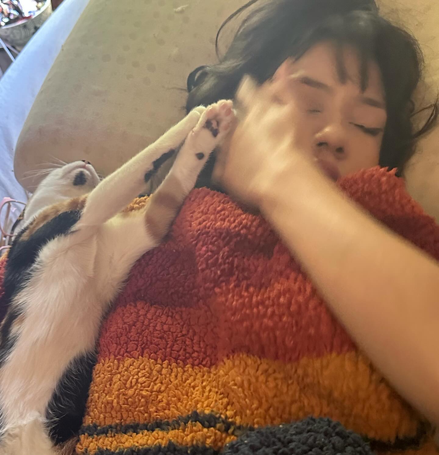 dracuina instagram image archive image