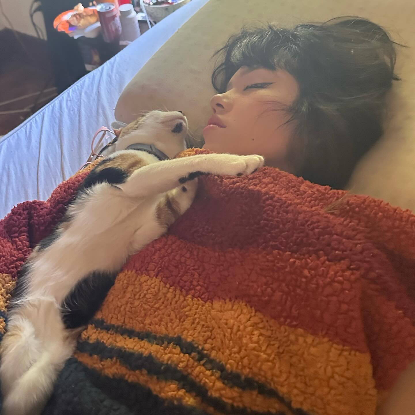 dracuina instagram image archive image