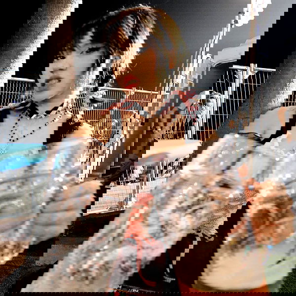 dracuina image ~ Altpins