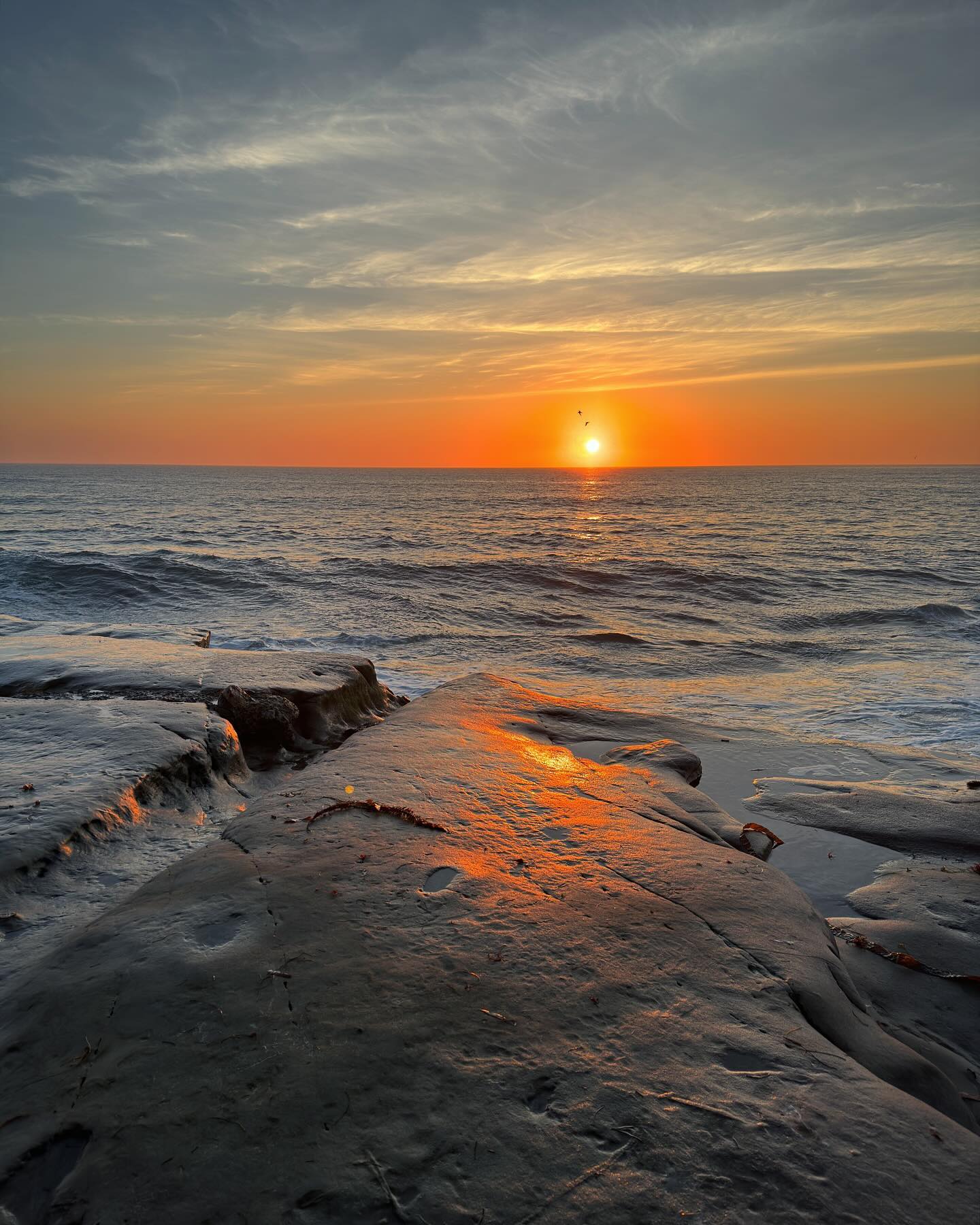 dracuina instagram image archive image