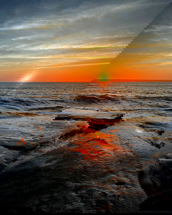 dracuina image ~ Altpins