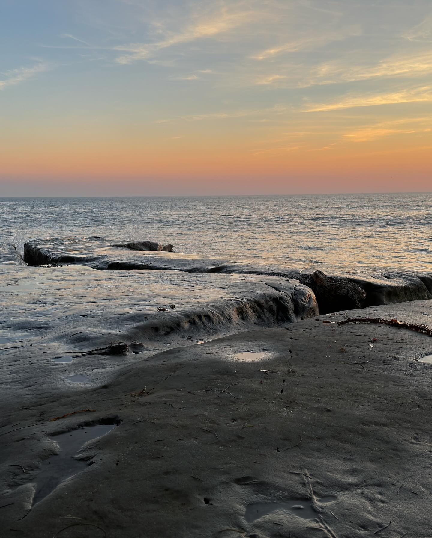 dracuina instagram image archive image