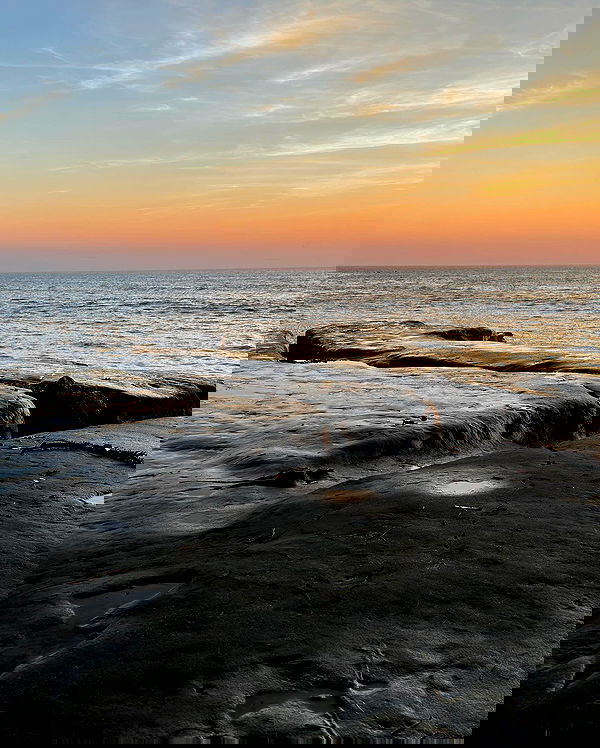 dracuina image ~ Altpins