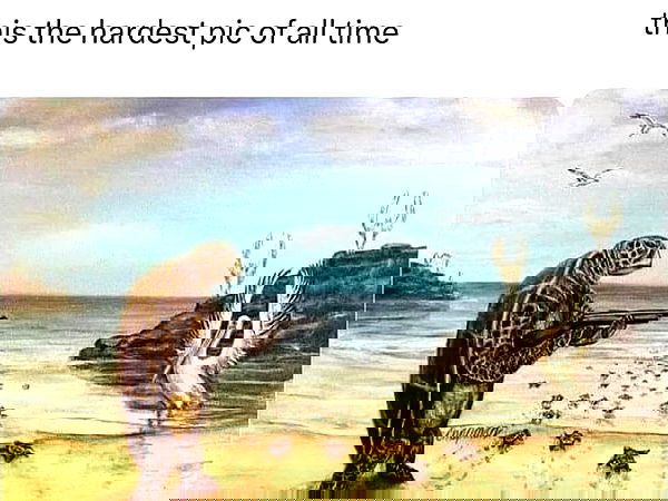 dracuina image ~ Altpins