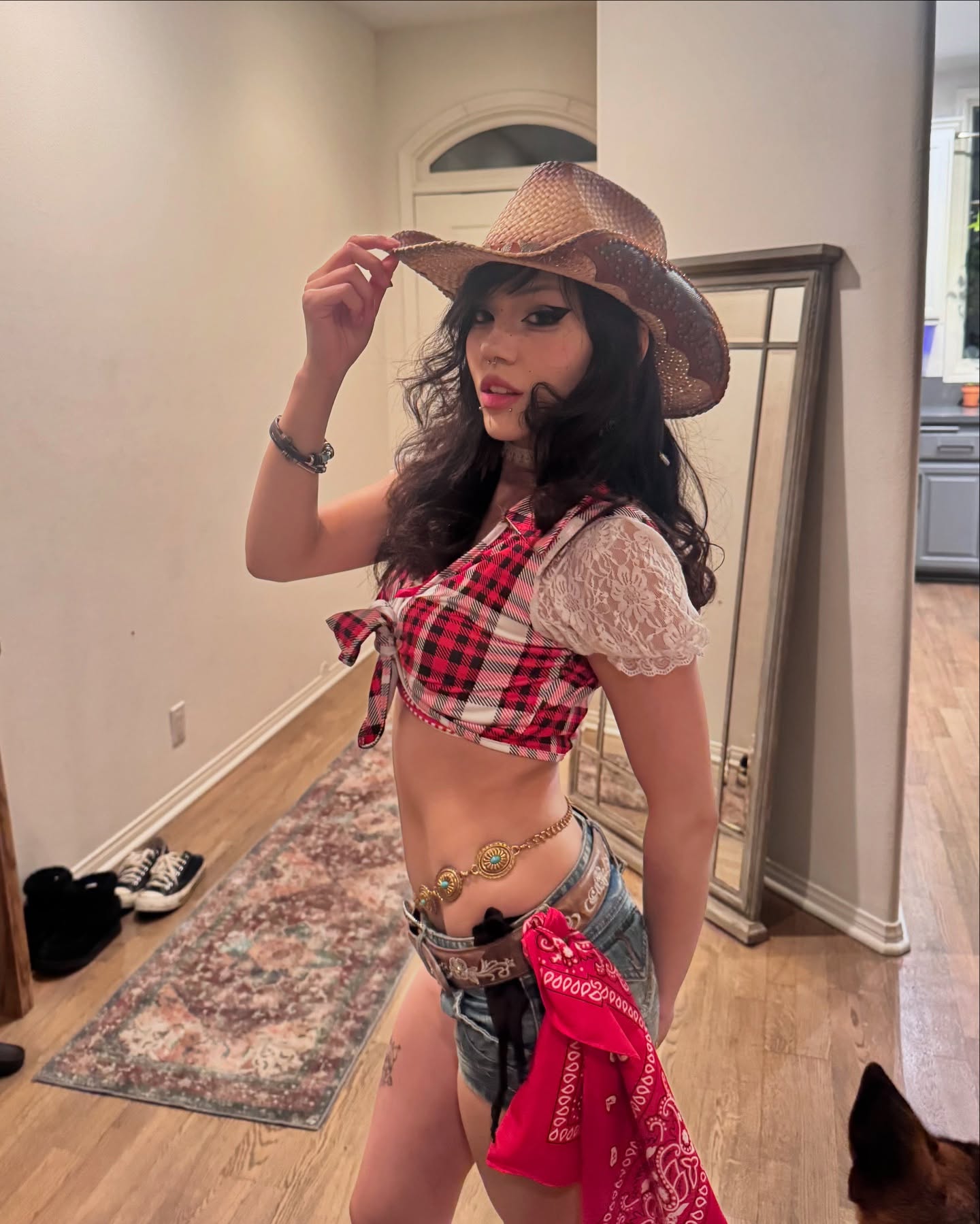 dracuina instagram image archive image