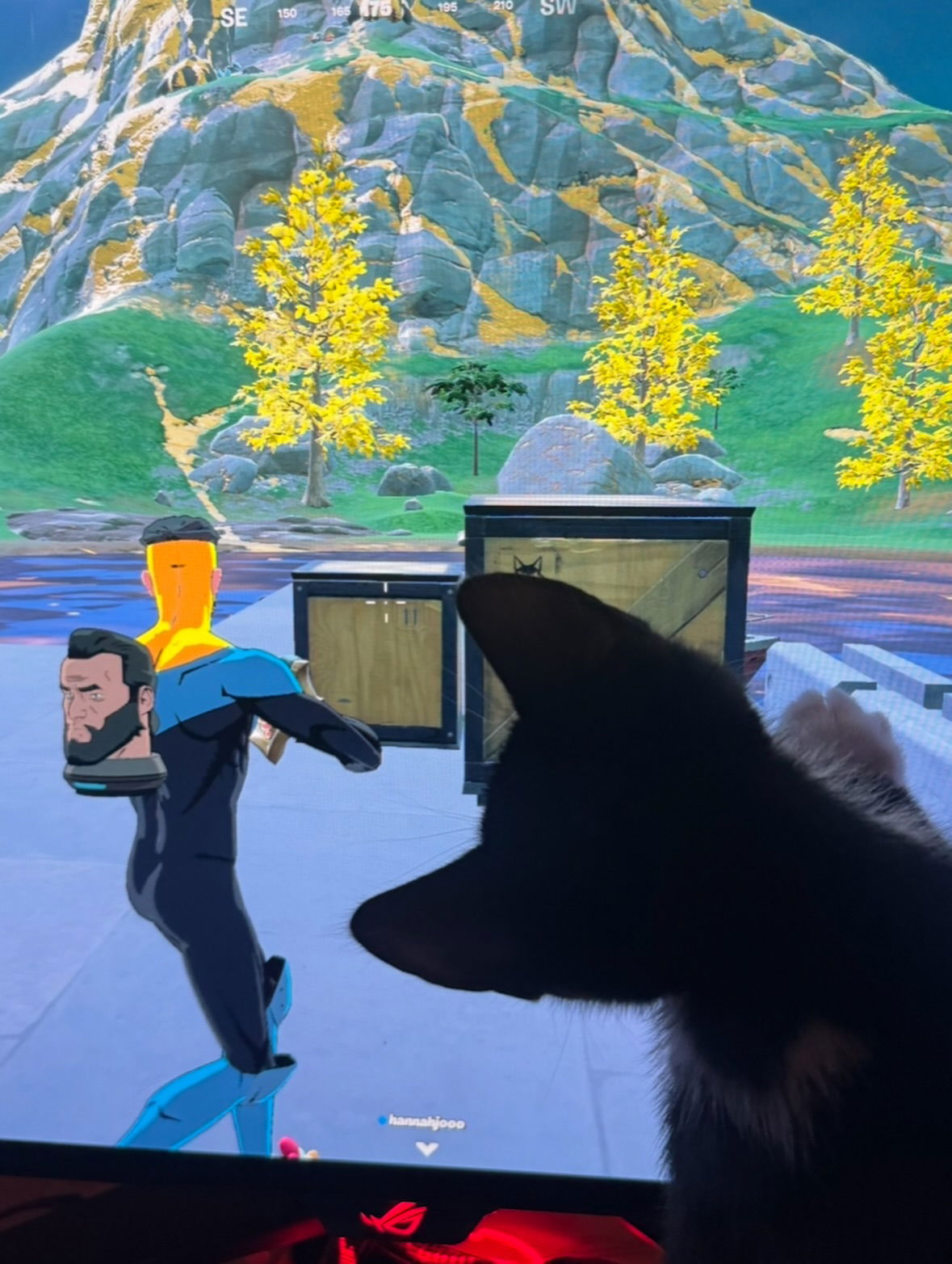 dracuina instagram image archive image