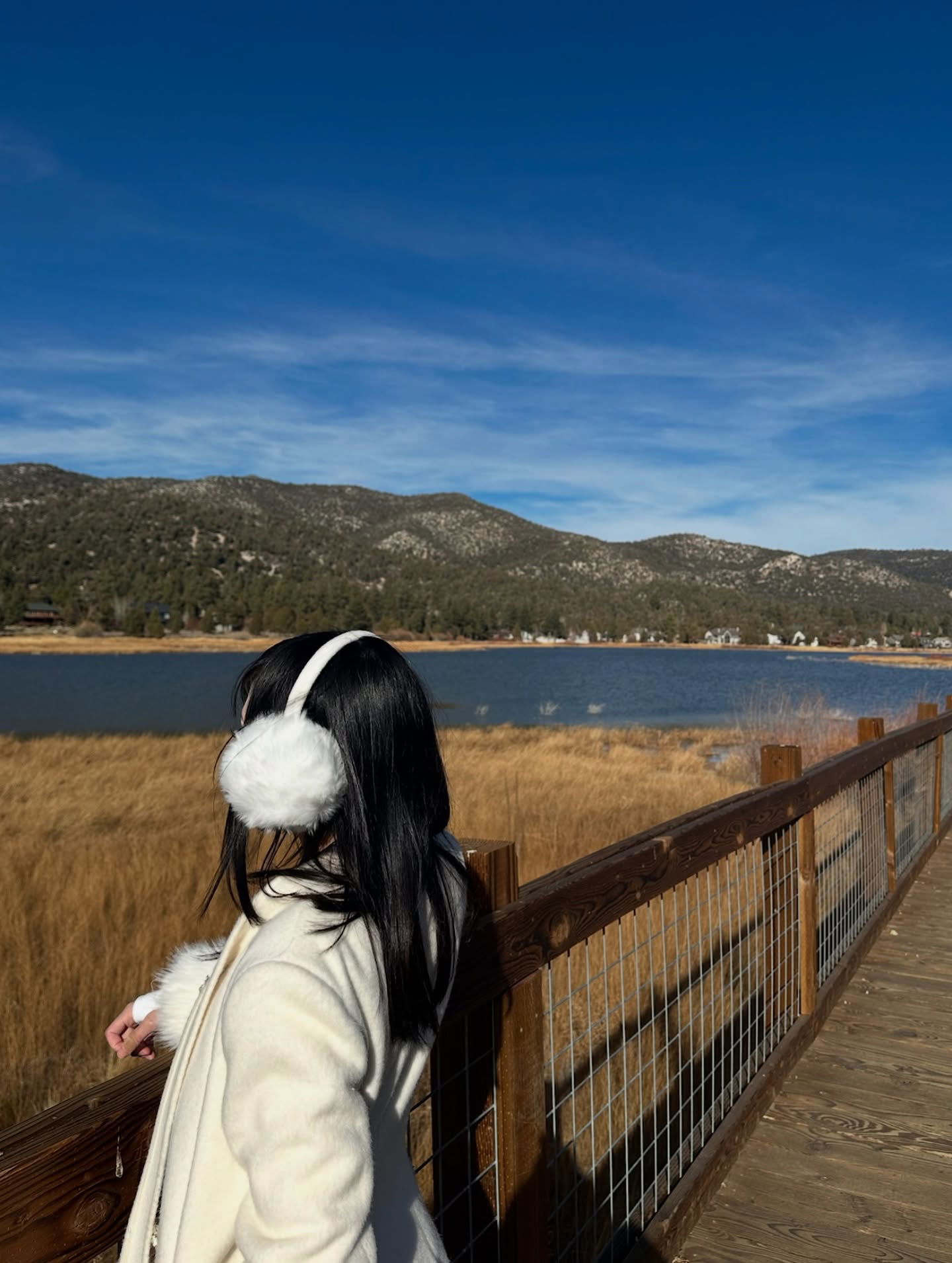 dracuina instagram image archive image