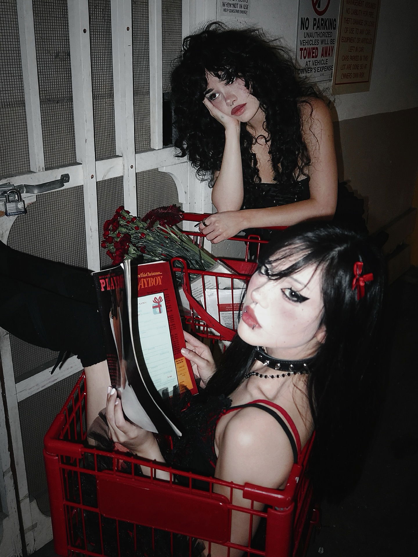 dracuina instagram image archive image