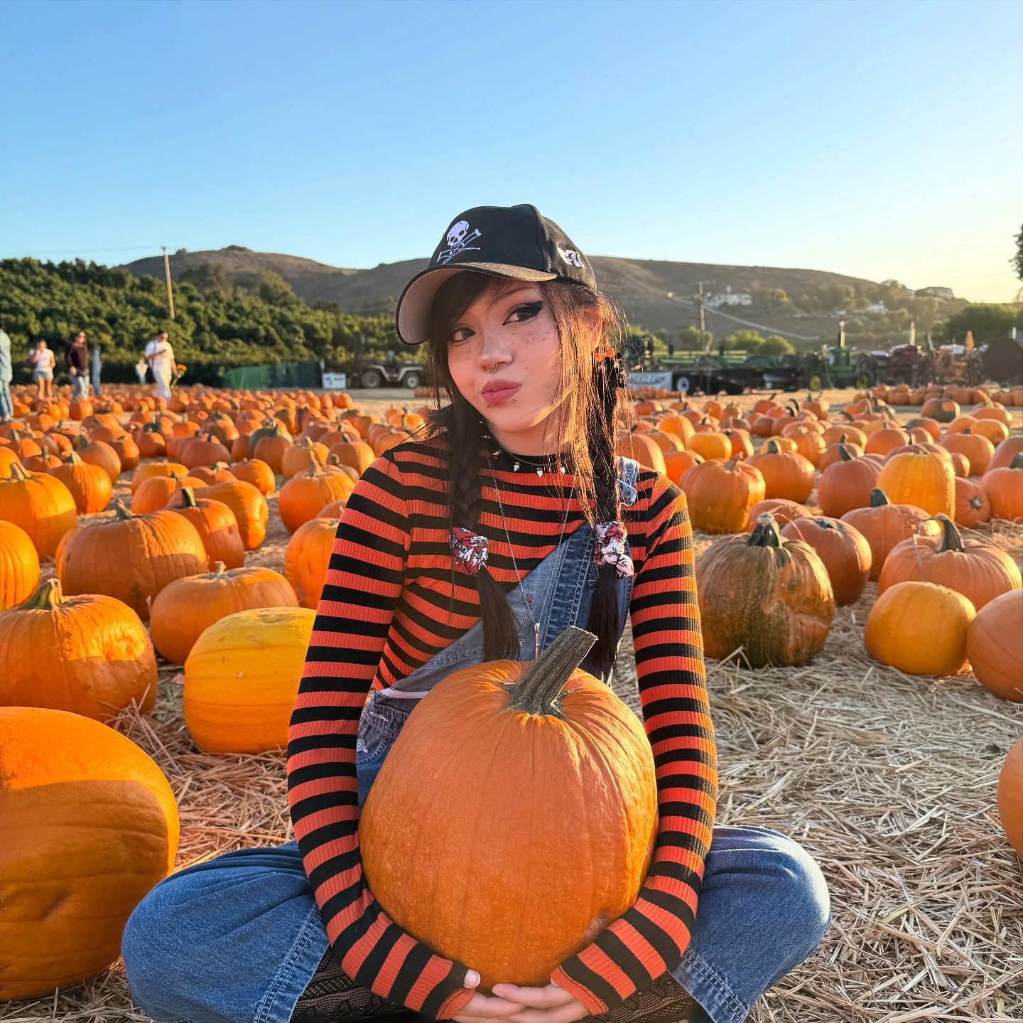 dracuina instagram image archive image