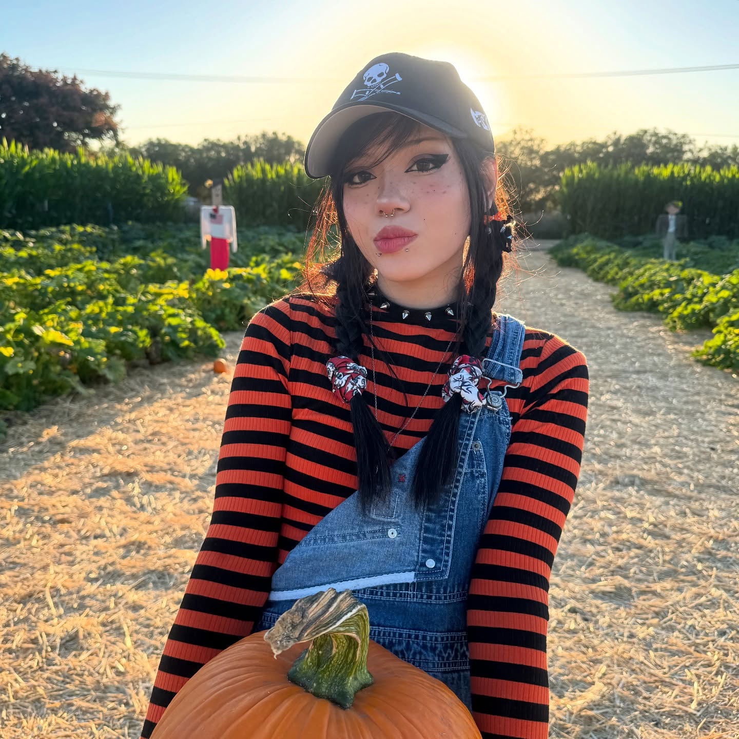 dracuina instagram image archive image