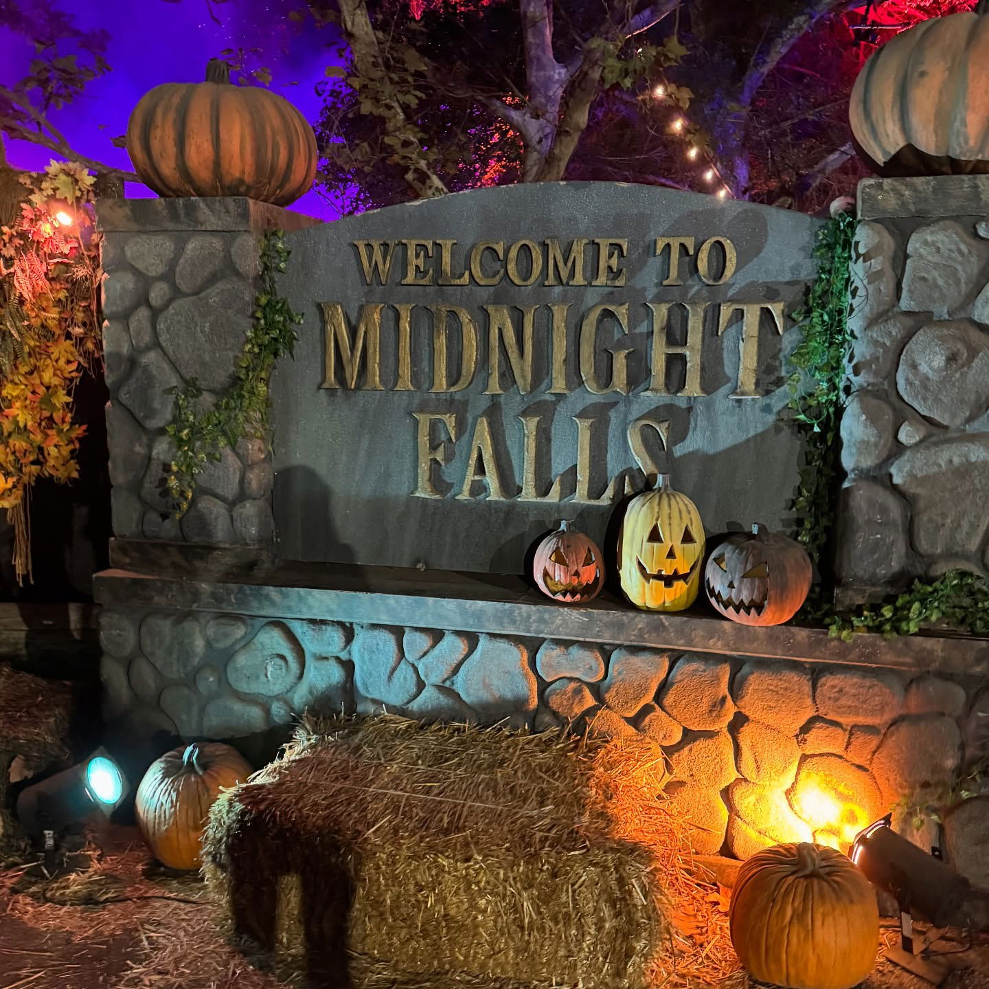 dracuina instagram image archive image