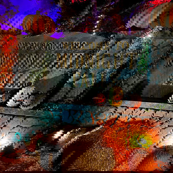 dracuina image ~ Altpins