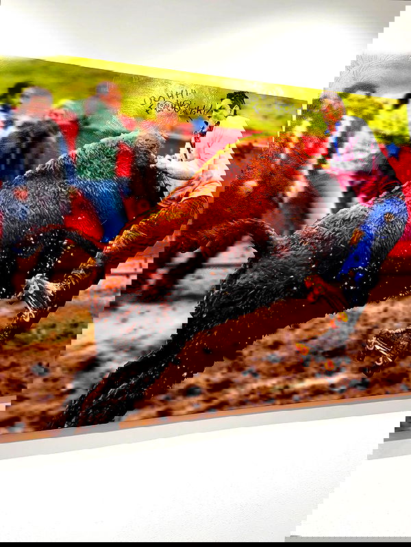 dracuina image ~ Altpins