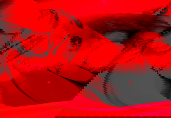 dreambabydrea dreambabydrea archive image