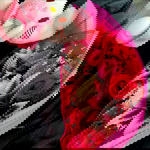 dreambabydrea dreambabydrea archive image