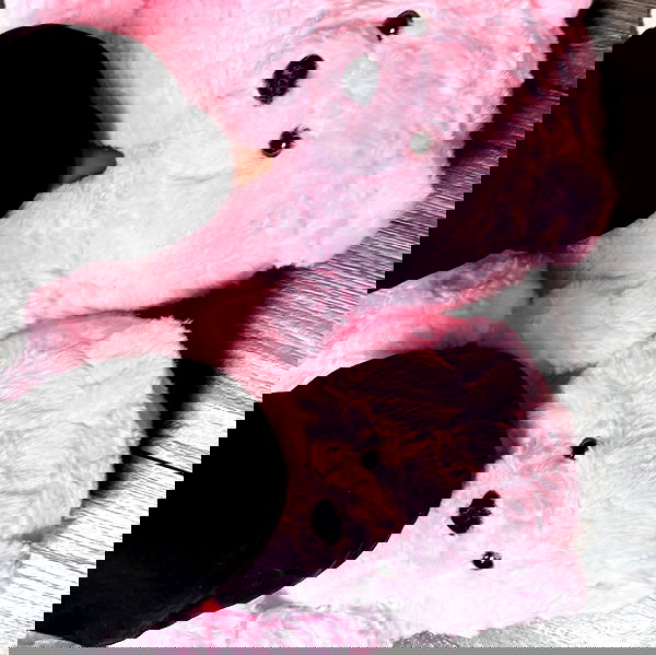 dreambabydrea dreambabydrea archive image