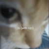 dreamyruee Altpins Profile Picture